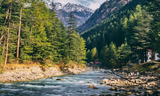 Working Abroad: A Comprehensive Guide for First-Timers