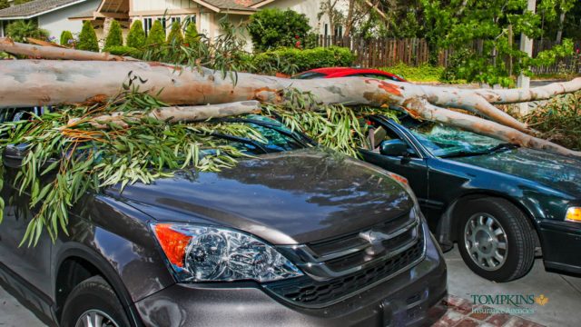 Total Loss Vehicle Claims: Knowing Your Rights and What to Do Next