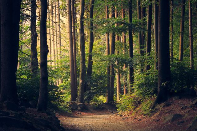Don’t Forget To Look Up Sometimes: Rediscovering the Beauty Above Us